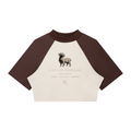 Women’s Color Block Raglan Crop T-Shirt